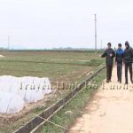 Đ/c Nguyễn Công Châu – Phó chủ tịch UBND huyện chỉ đạo công tác chống rét cho diện tích mạ vụ Xuân